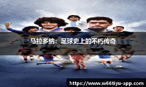 w66利来app