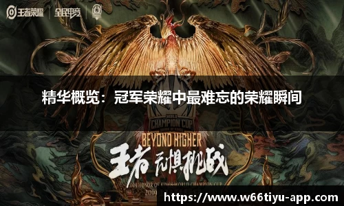w66利来体育