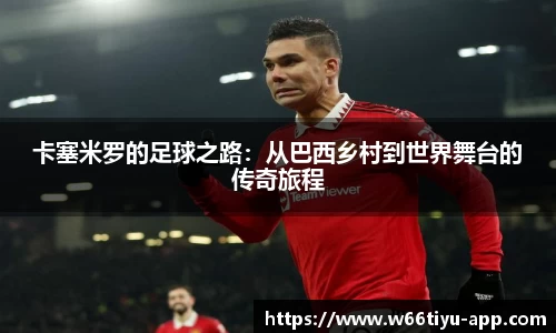w66利来体育